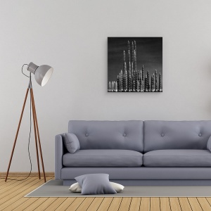 Tablou canvas - In Manhattan, Cui, Oras, Sat, Natura Moarta, Conceptual, 90 x 90 cm - Img 2