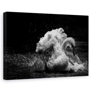 Tablou canvas - In Miscare, Salbatic, Lebada, Rata, Cioc, 60 x 90 cm