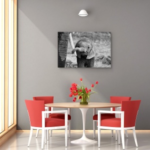 Tablou canvas - inchis, Nature, Elefant, Kenya, Africa, 80 x 120 cm - Img 4
