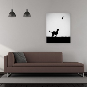 Tablou canvas - Indiciul, Alb-Negru, Grafic, Caine, Pasare, 40 x 50 cm - Img 2