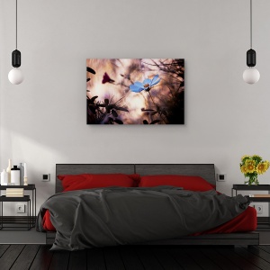 Tablou canvas - Indiferenta, Flori, Gradina, 60 x 90 cm - Img 3