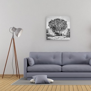 Tablou canvas - Intalnire La Pranz, Kenya, Tsavo, Est, Umbra, 60 x 60 cm - Img 2