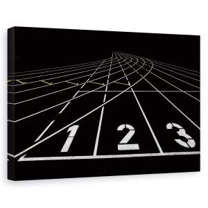 Tablou canvas - Intuneric, Toronto, Intuneric, Ontario, Stadion, 40 x 60 cm