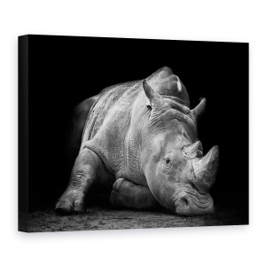 Tablou Canvas - Invins, Puternic, Extinderea, Alb-Negru, Fauna, Greu, 50 x 70 cm