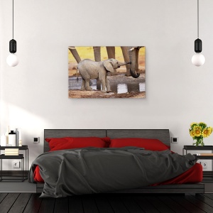 Tablou canvas - Joaca-Te Cu Mine, Te Rog, Salbatic, Natura, Animale, 40 x 60 cm - Img 3