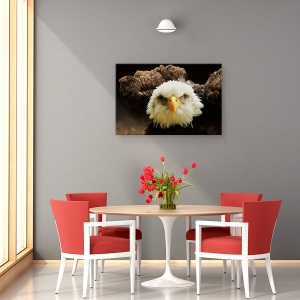 Tablou canvas - Judecatorul, Natura, Pasare, Vultur, Cioc, Pradator, 40 x 60 cm - Img 4