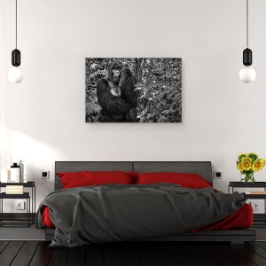 Tablou canvas - Kwitonda Silverback, Gorila, Rwanda, Virunga, Africa, Gorila, 40 x 60 cm - Img 3