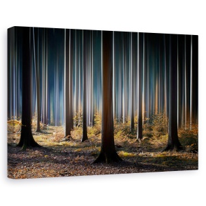 Tablou canvas - Lemn mistic, Peisaj, Toamna, Lumina, 80 x 120 cm