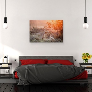Tablou canvas - Leoaica in Apus de Soare , Fauna, Salbatic, Natura, Animal, Leu, 60 x 90 cm - Img 3