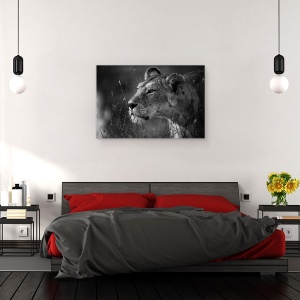 Tablou canvas - Leu, Leoaica, Felina, Fauna, Salbatic, Natura, 60 x 90 cm - Img 3