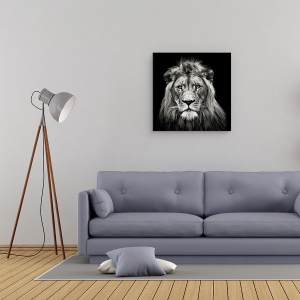 Tablou canvas - Leu Tanar, Rege, Animal, Intuneric, Alb-Negru, 90 x 90 cm - Img 2