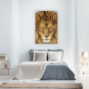 Tablou Canvas - Leul Serios, Leu, Natura Salbatica, Animal, Pisica, Par, 60 x 90 cm - Img 3