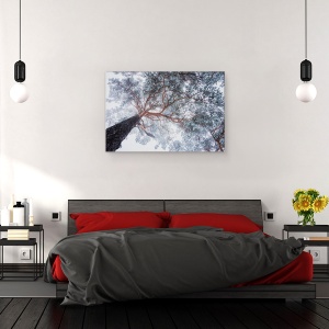 Tablou canvas - Liniile Copacilor In Iarna, Perspectiva, Padure, Cer, 40 x 60 cm - Img 3