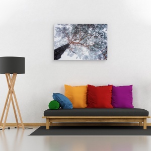 Tablou canvas - Liniile Copacilor In Iarna, Perspectiva, Padure, Cer, 60 x 90 cm - Img 2