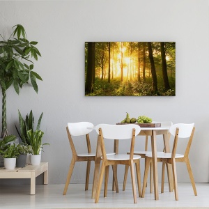 Tablou canvas - Lumina In Padure, Lumina, Padure, Stare De Spirit, Copaci, Padure, 50 x 80 cm - Img 4