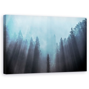 Tablou canvas - Lumina Pentru A Fi Crezut Probabil, Padure, Ceata, Japonia, Munte, Lumina, 50 x 80 cm