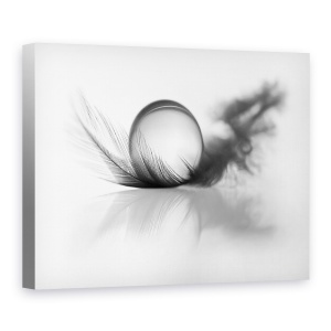 Tablou canvas - Luminozitate, Pana, Pene, Perla, Picatura, 75 x 100 cm