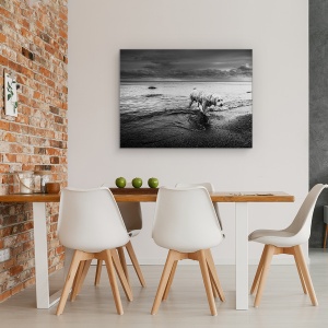 Tablou canvas - Lunga Calatorie Spre Casa, Caini, Animale, Apa, Oakville, 60 x 80 cm - Img 4