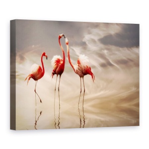 Tablou Canvas - Lupta, Natura, Cer, Nori, Animal, 60 x 80 cm