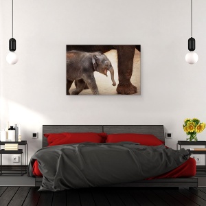 Tablou canvas - Magia Mersului Pe Jos, Dragut, Animal, Copil, Cub, 60 x 90 cm - Img 3