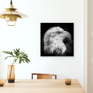 Tablou canvas - Maiestuos, Vultur, Animal, Pasare, Mandrie, 60 x 60 cm - Img 4