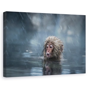 Tablou canvas - Mama!, Nature, Maimuta, Apa, Dragut, 80 x 120 cm