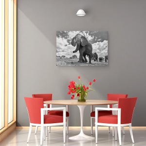 Tablou canvas - Mars Matriarhal, Elefant, Tarangerie, Africa, Tanzania, 60 x 90 cm - Img 4