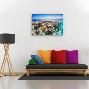Tablou canvas - Mayotte Reciful, Recif, Mare, Ocean, Laguna, Mayotte, 40 x 60 cm - Img 4