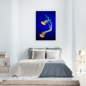 Tablou canvas - Meduza, Aquariu, Sub Apa, Meduze, Acvariu, 40 x 60 cm - Img 3