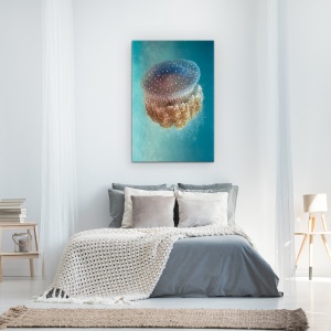 Tablou Canvas - Meduze - Phylorhiza Punctata, Venin, Peste, Mediterana, Natura Salbatica, Adanc, 60 x 90 cm - Img 3