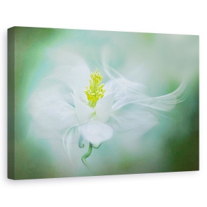 Tablou canvas - Mistic, Floare, Alb, Prim-Plan, Primavara, 80 x 120 cm