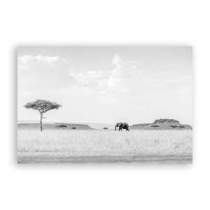 Tablou Canvas - Natura, Peisaj, Animal, Elefant, Africa, 60 x 90 cm