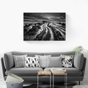 Tablou decorativ peisaj natură alb-negru pe canvas