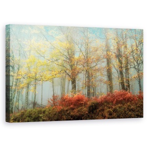 Tablou canvas - Natura, Peisaj, Padure De Toamna, Pictura, 50 x 80 cm