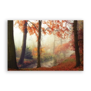 Tablou Canvas - Natura, Peisaj, Padure, Frunze, Ceata, Toamna, 60 x 90 cm