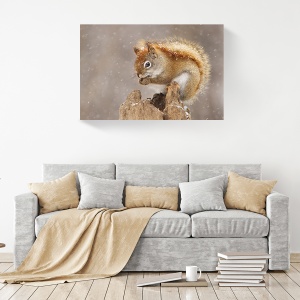 Tablou decorativ natură iarnă cu veveriță pe canvas 60x90 cm