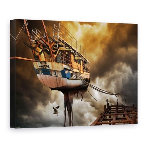 Tablou canvas - Nimfa, Barca, Pasare, Vapor, Zbor, 50 x 70 cm