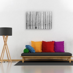 Tablou canvas - Noiembrie 2014, Peisaj, Mesteacan, Copac, Apa, 80 x 120 cm - Img 2