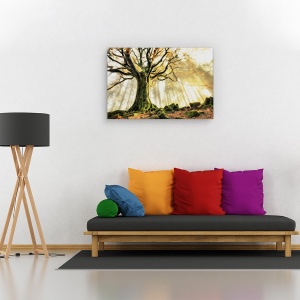 Tablou canvas - Noiembrie, Flori, Galben, Copac, Soare, 60 x 90 cm - Img 2