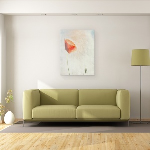 Tablou canvas - Nu Ar Trebui Sa Dormim, Maci, Flandra, Textura, Belgia, 50 x 70 cm - Img 2