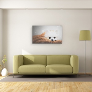 Tablou canvas - O Zi De Iarna, Caine, Chihuahua, Pet, Animal, 50 x 80 cm - Img 2