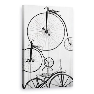 Tablou canvas - Obiecte, Vehicul, Bicicleta, Retro, 60 x 90 cm