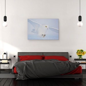 Tablou canvas - Ochi De Aur La Vanatoare, Zapada, Bufnita, Alb, Luminos, 60 x 90 cm - Img 3
