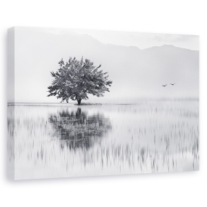 Tablou canvas - Oglinda Cu Arc, Copac, Reflectie, Grecia, Lac, Pasari, 40 x 60 cm
