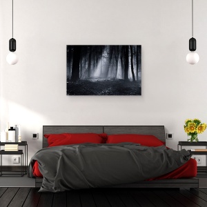Tablou canvas - Padurea Capela, Padure, Dimineata, Raze de Lumina, Raza de Lumina, Ray, Raze, 60 x 90 cm - Img 3
