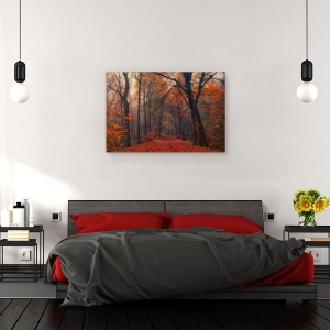 Tablou canvas - Padurea Decorativa, Waalwijk, The, Olanda, 40 x 60 cm - Img 3