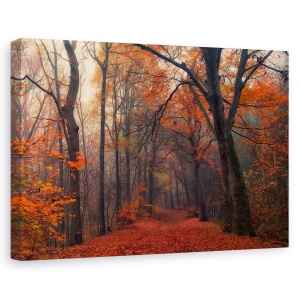 Tablou canvas - Padurea Decorativa, Waalwijk, The, Olanda, 60 x 90 cm