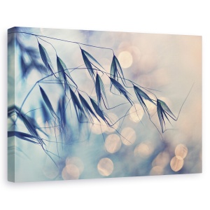 Tablou canvas - Paie, Macro, Paie, Paie, Iarba, Reed, 80 x 120 cm