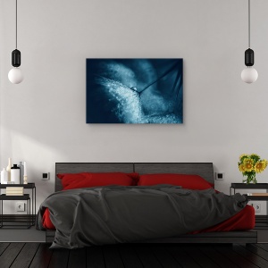 Tablou canvas - Papadie albastra, Flori, Picatura, Lumina, Tonifiat, 60 x 90 cm - Img 3