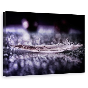 Tablou canvas - Pene Si Picatura ii, Natura Moarta, Apa, 40 x 60 cm